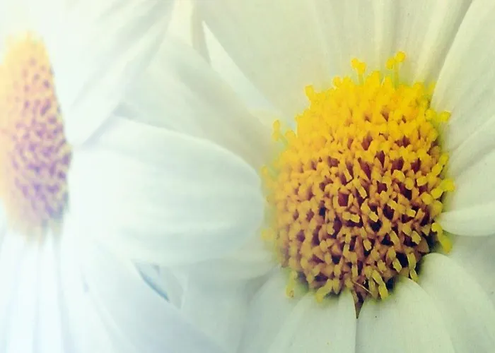 شقة Ferienwohnung-strandbox-naehe-deich-und-hundestrand نورديش